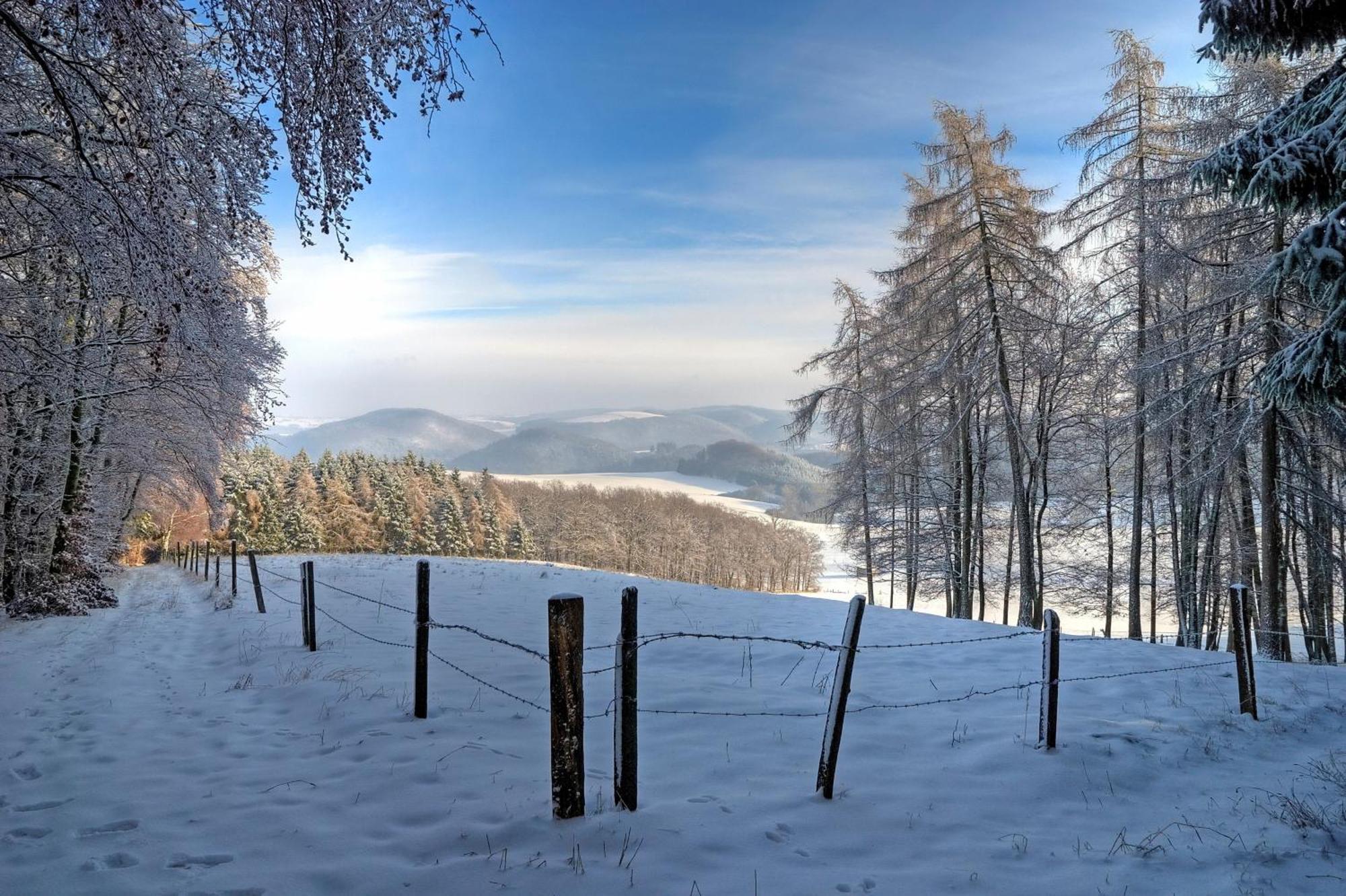 Diemelsee Sudeck - Ein Ferienhaeuschen Zum Wohlfuehlen Ngoại thất bức ảnh